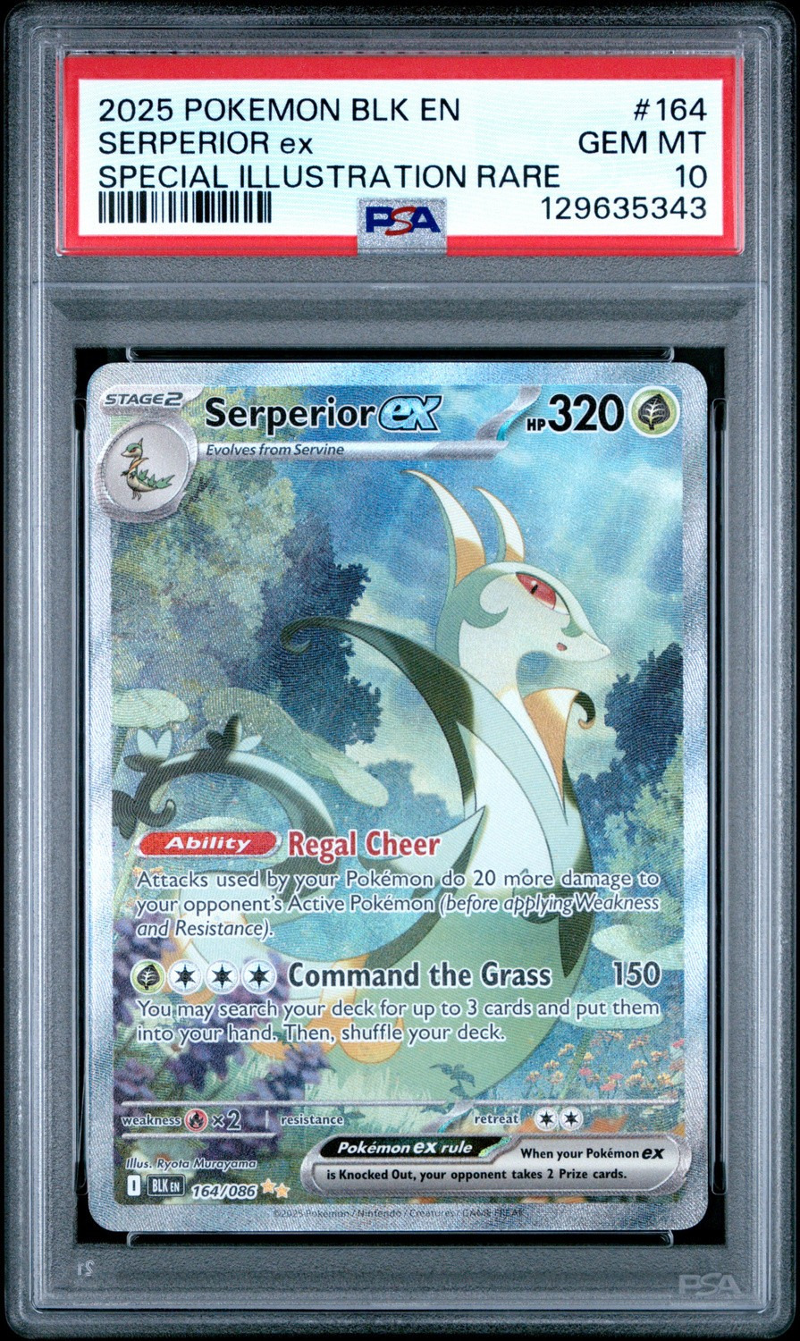 SERPERIOR ex