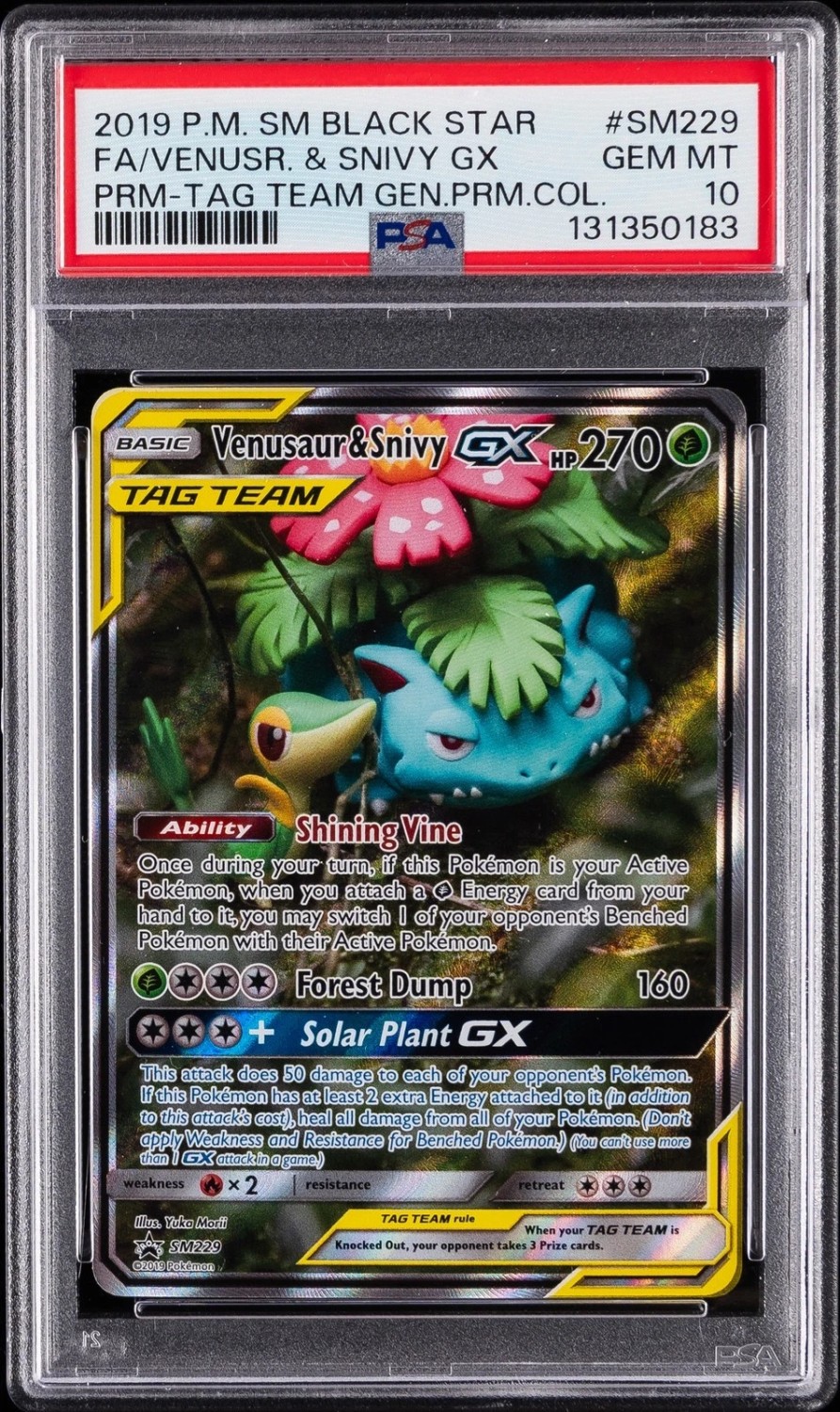 Venusaur & Snivy GX