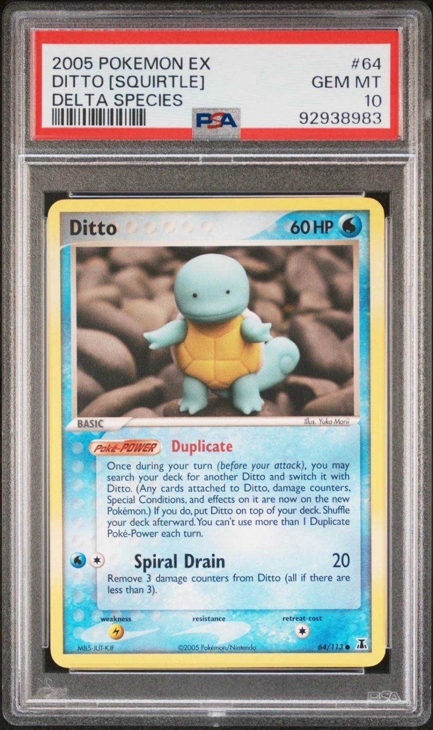 Ditto [Squirtle]