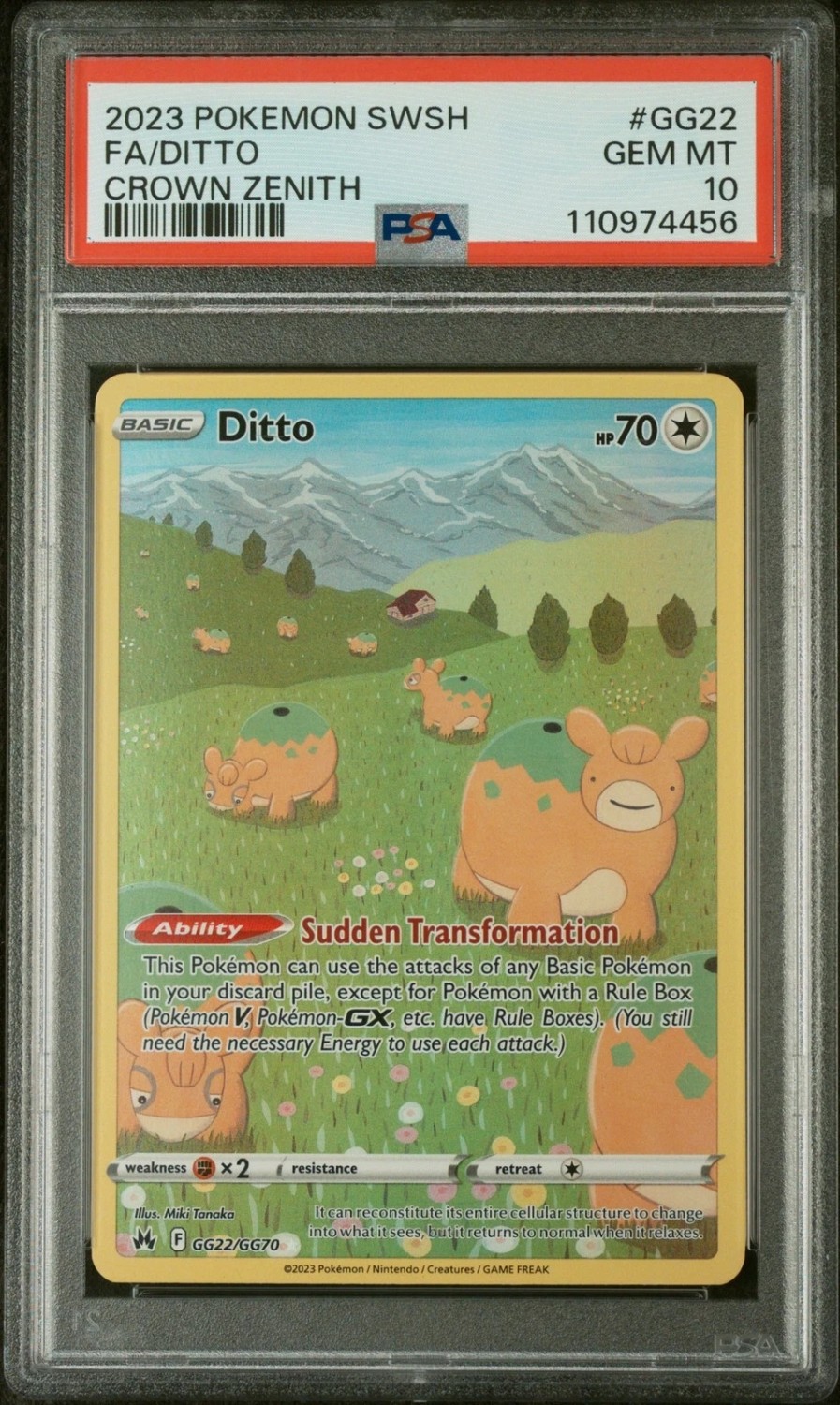 Ditto