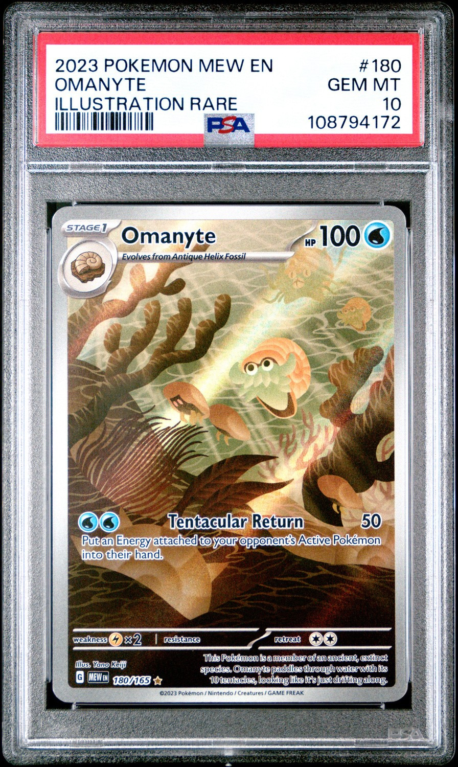 Omanyte