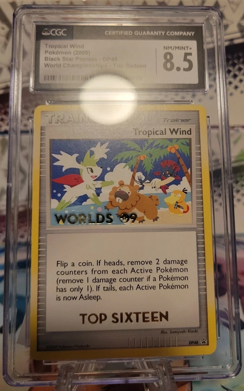 Tropical Wind