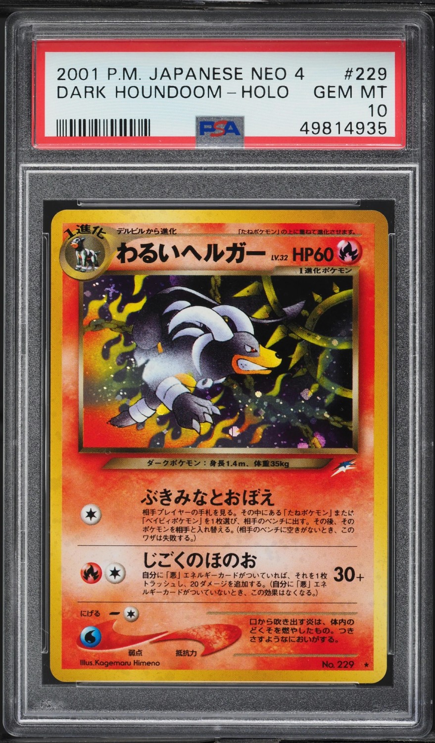 Dark Houndoom