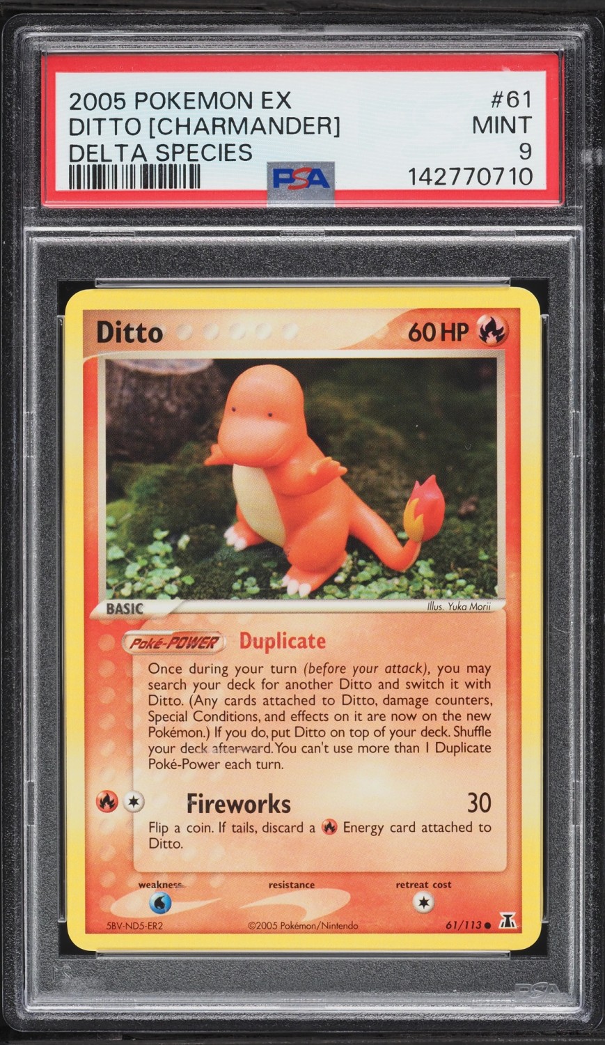 Ditto [Charmander]