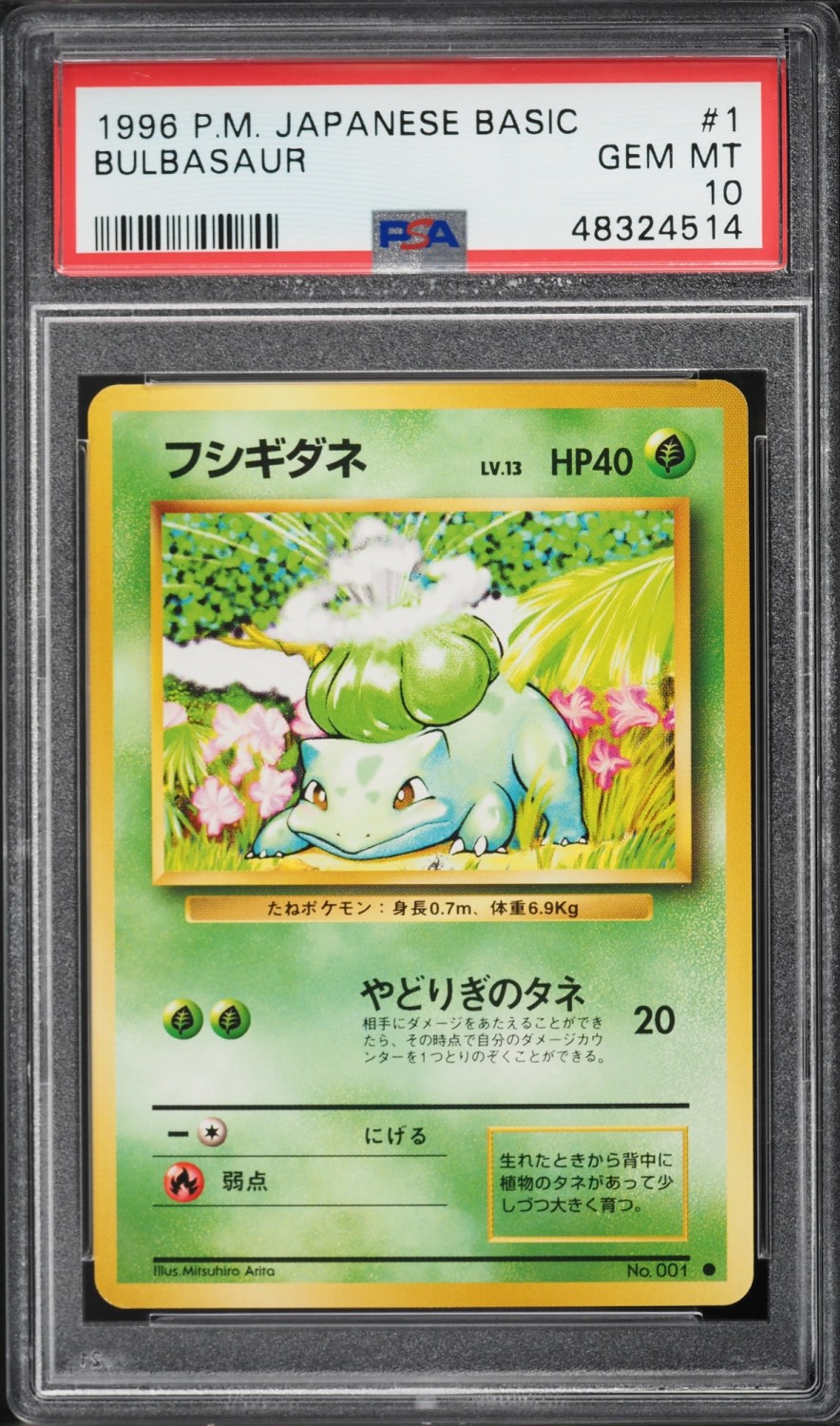 Bulbasaur