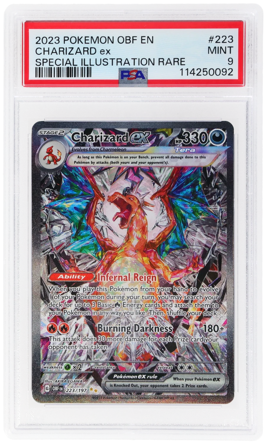 CHARIZARD ex
