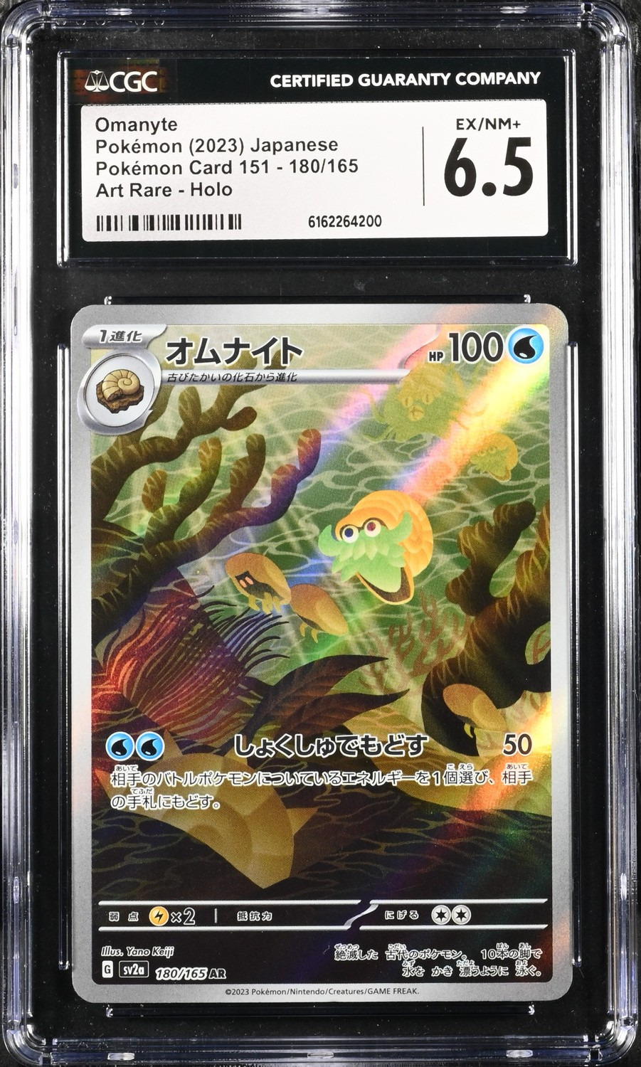 Omanyte