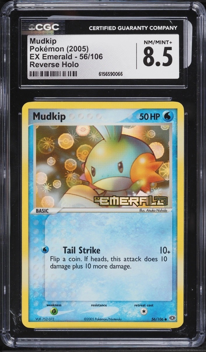 Mudkip