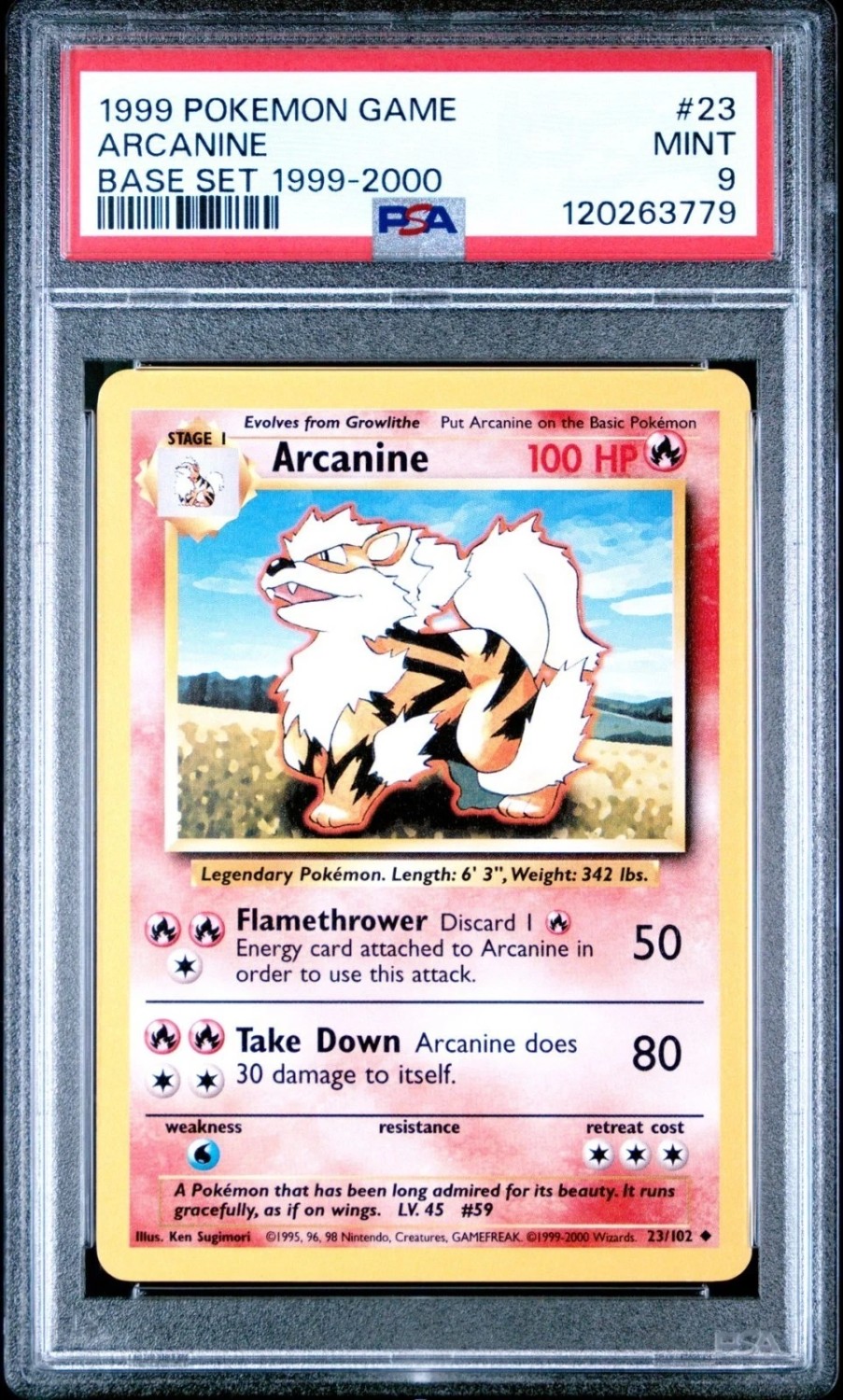 ARCANINE
