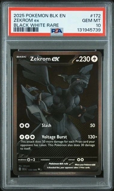ZEKROM ex