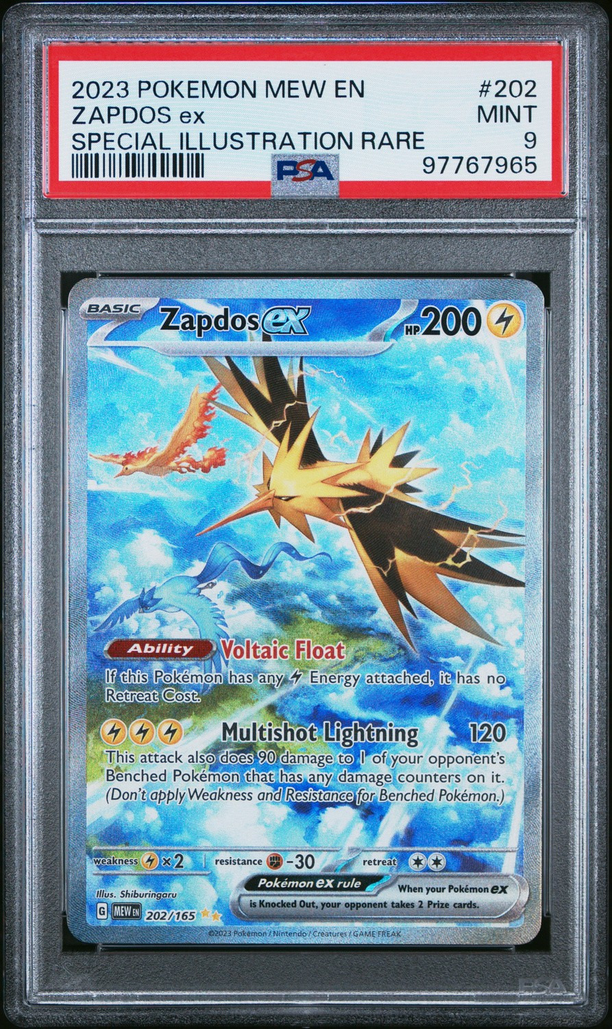 ZAPDOS ex