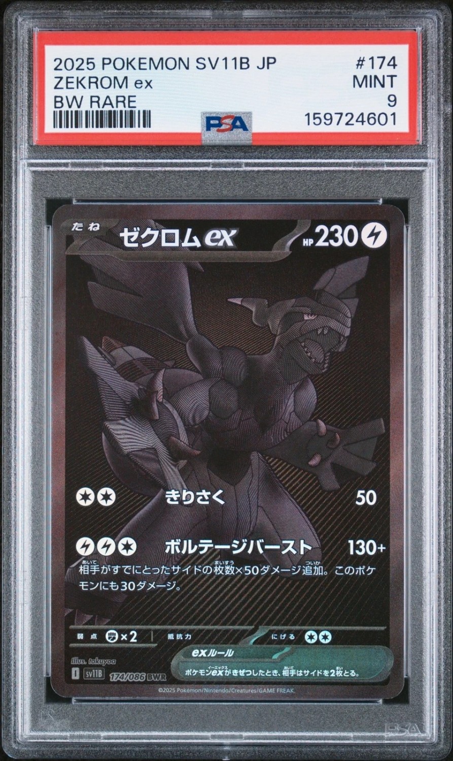 ZEKROM ex