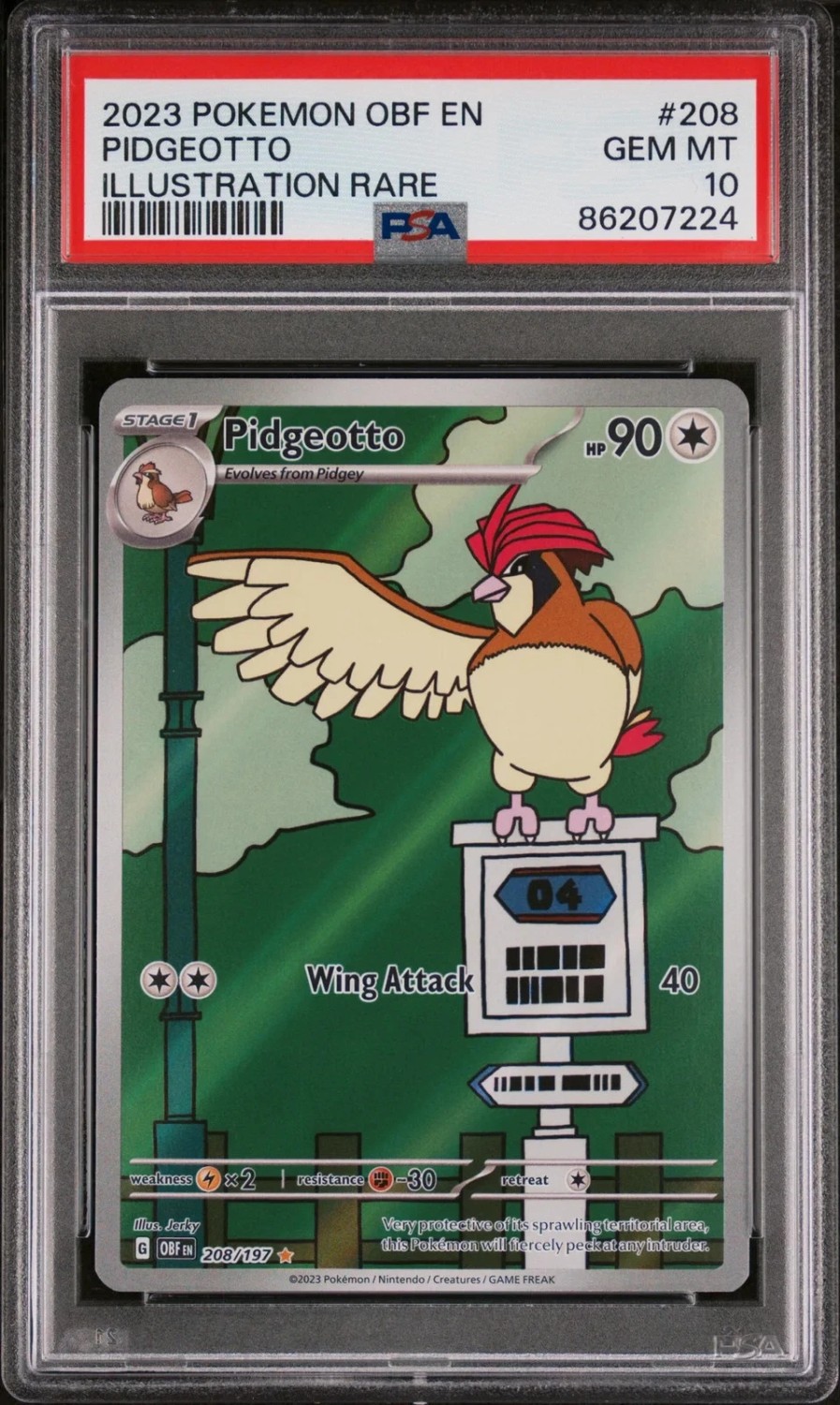 Pidgeotto