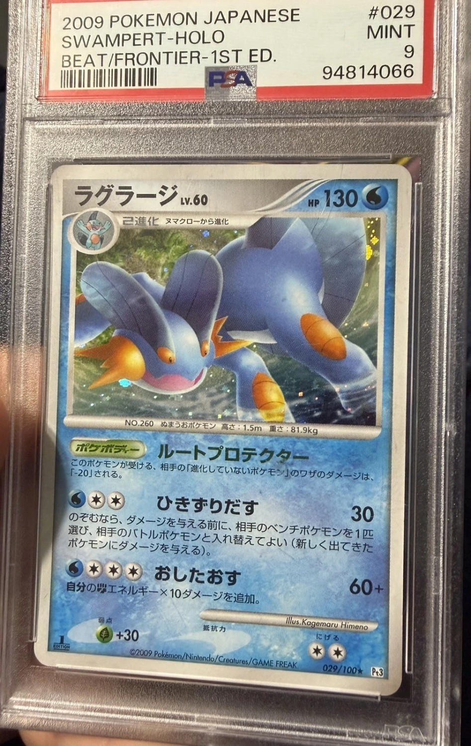 Swampert