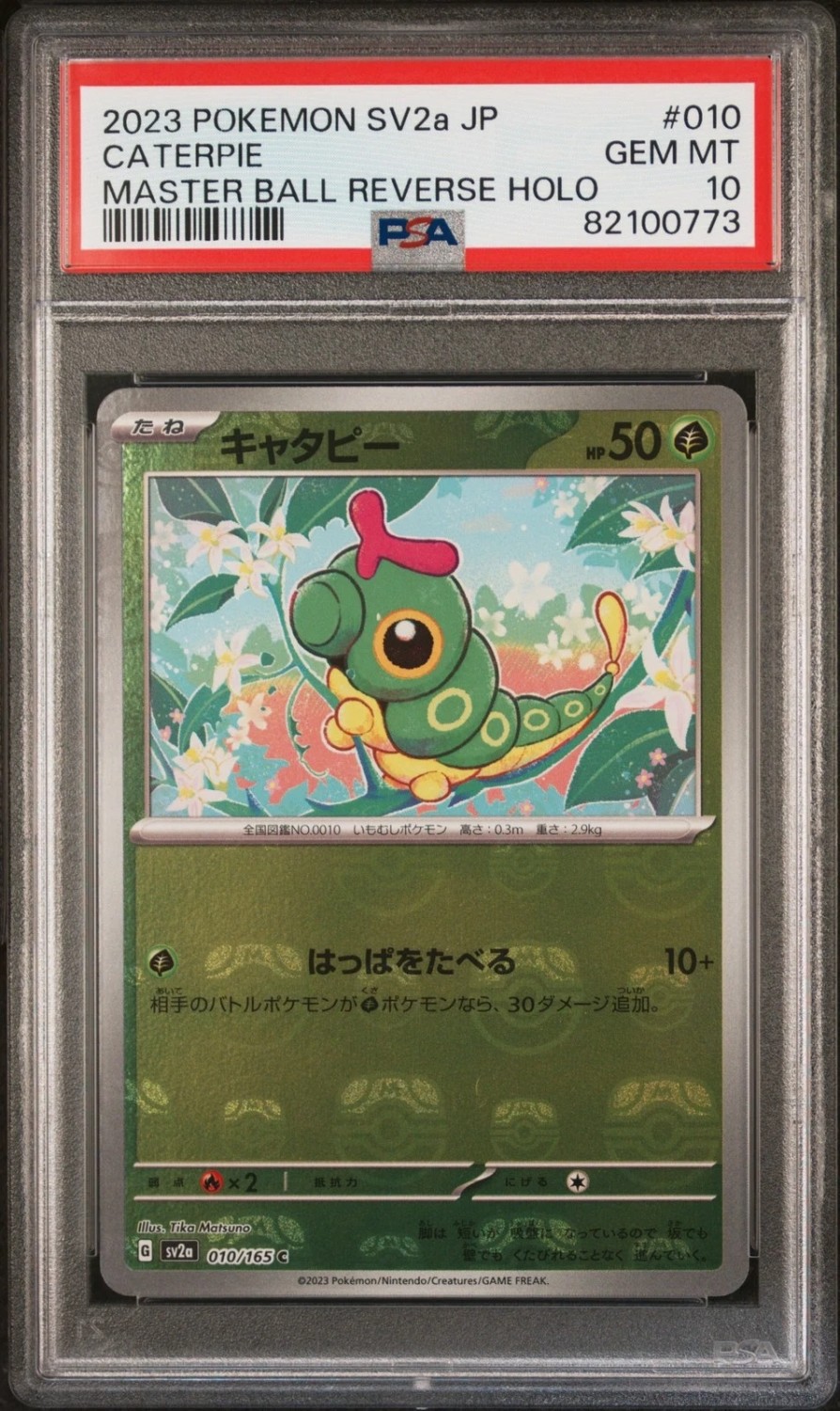 Caterpie