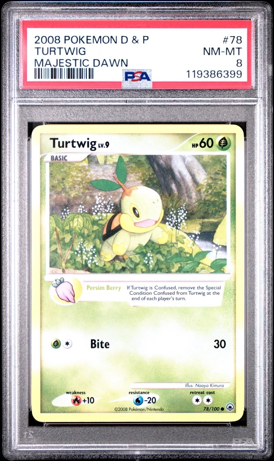 Turtwig