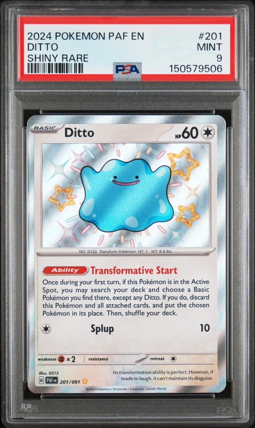 Ditto