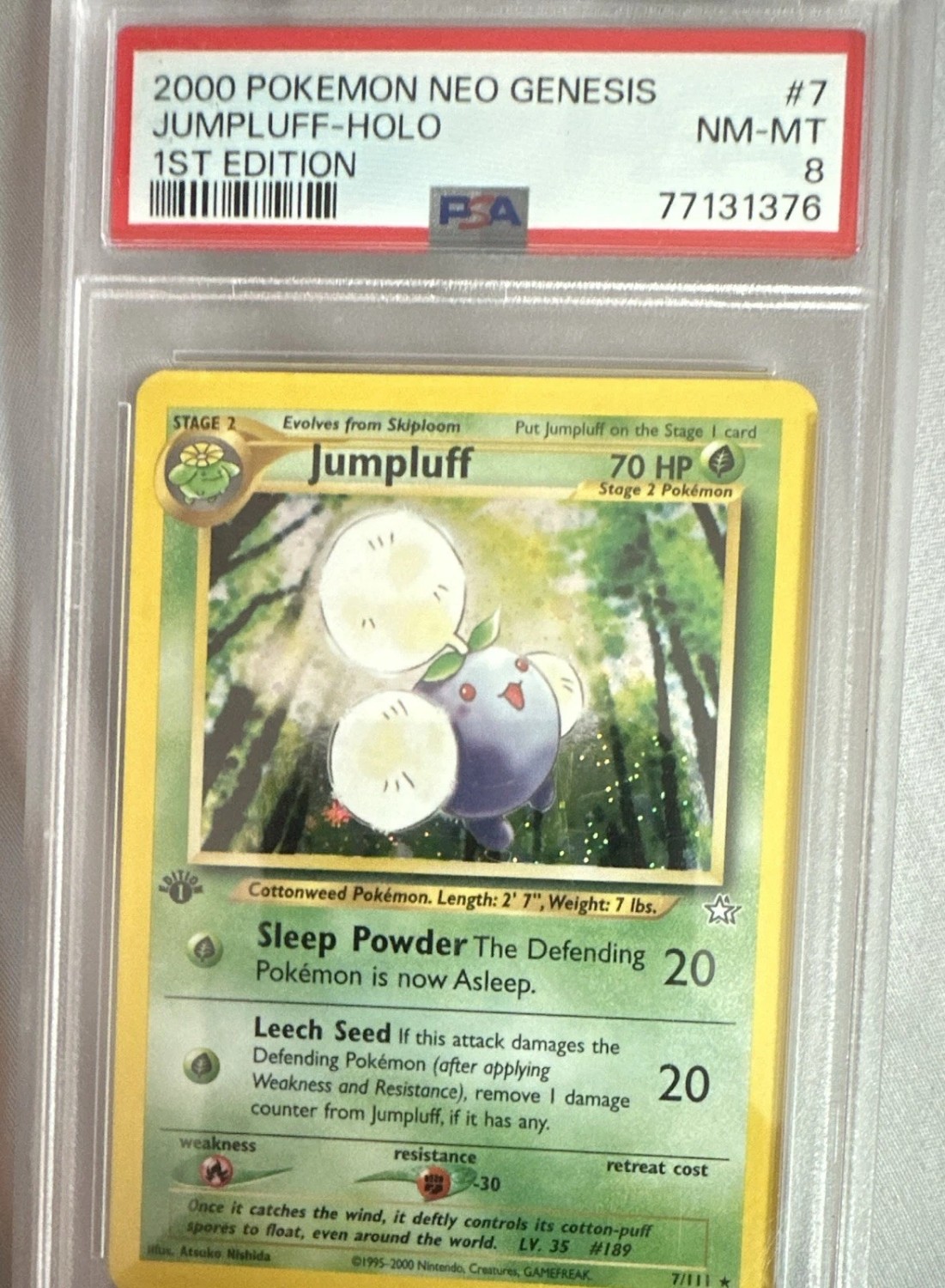Jumpluff