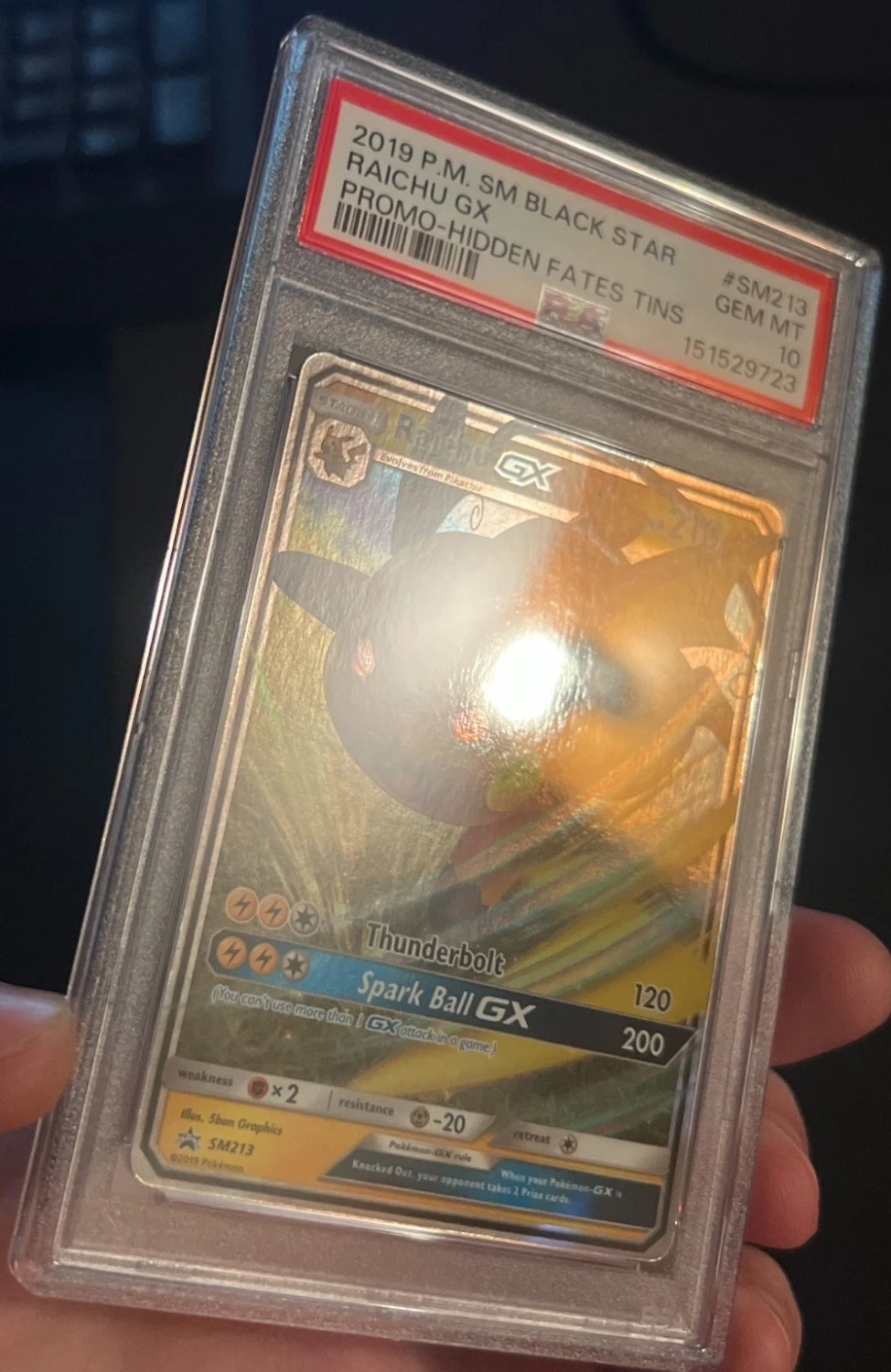 Raichu GX