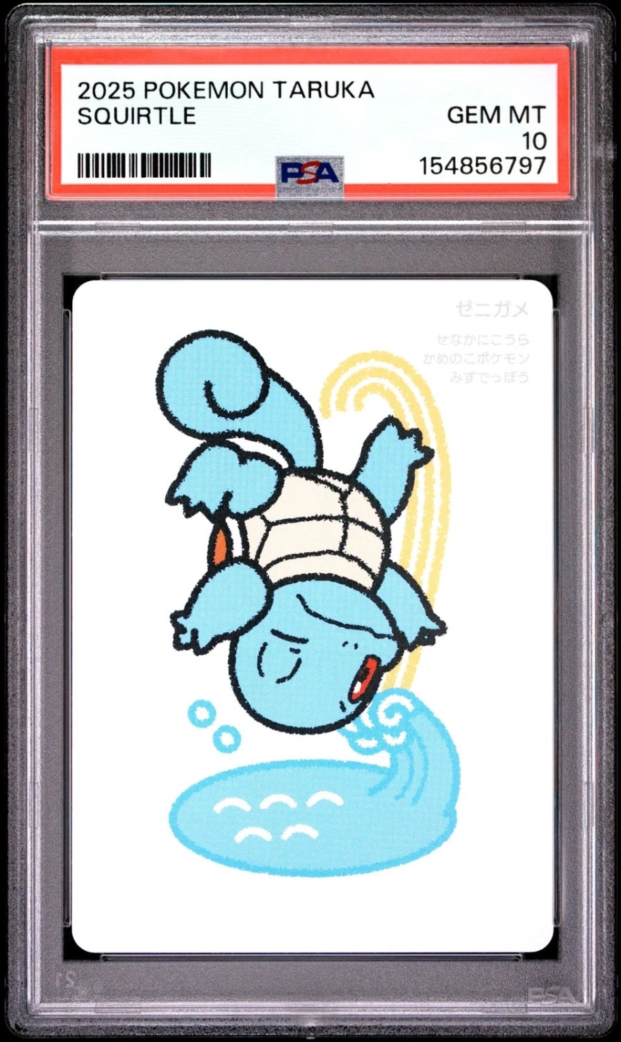 Squirtle