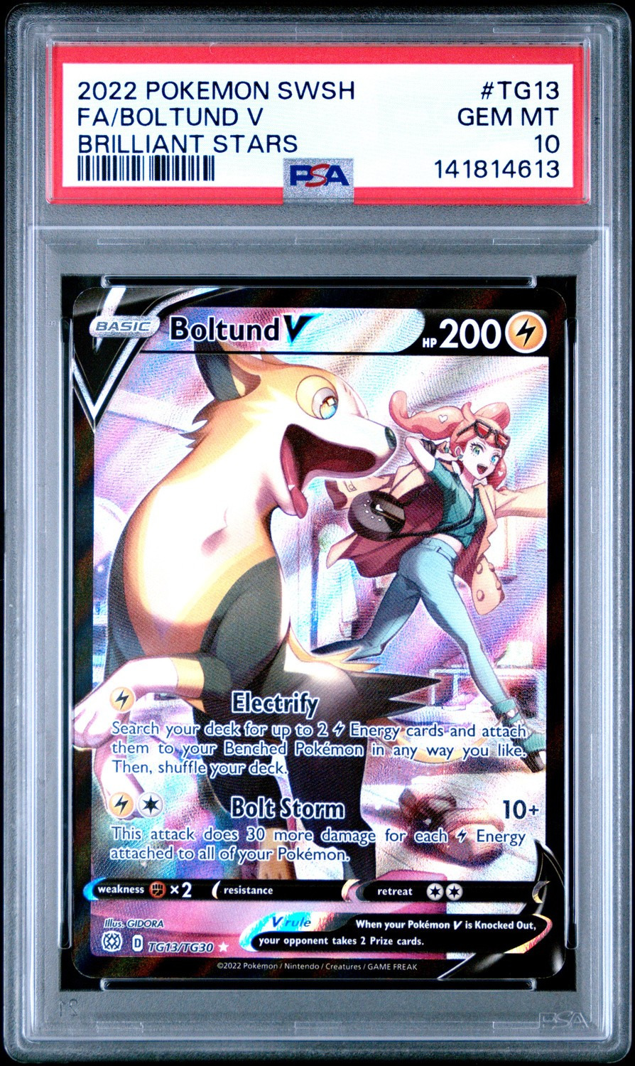 Boltund V