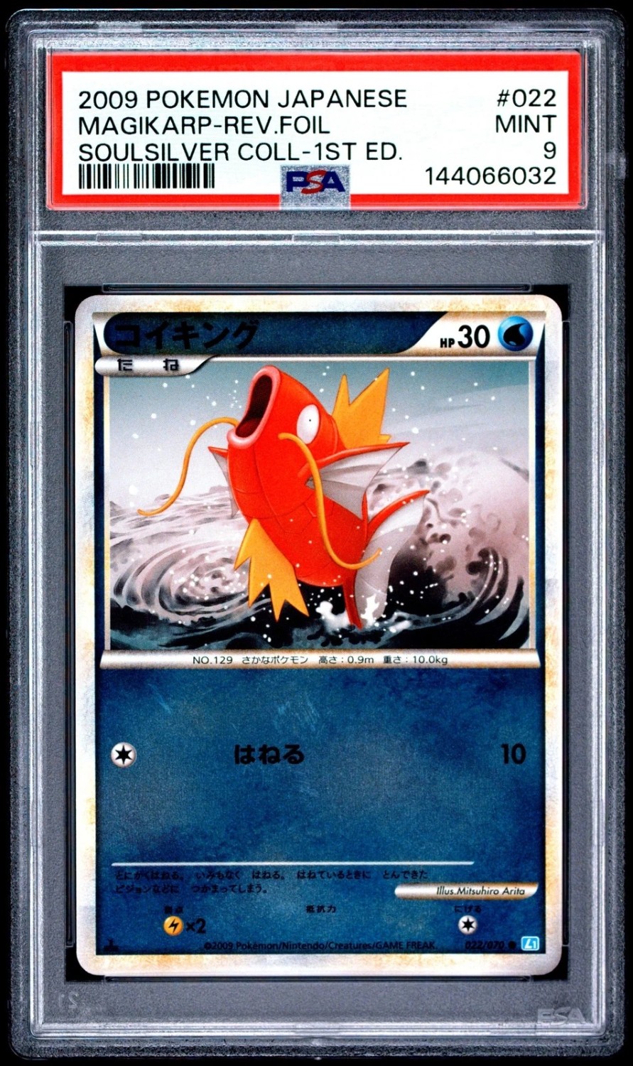 Magikarp