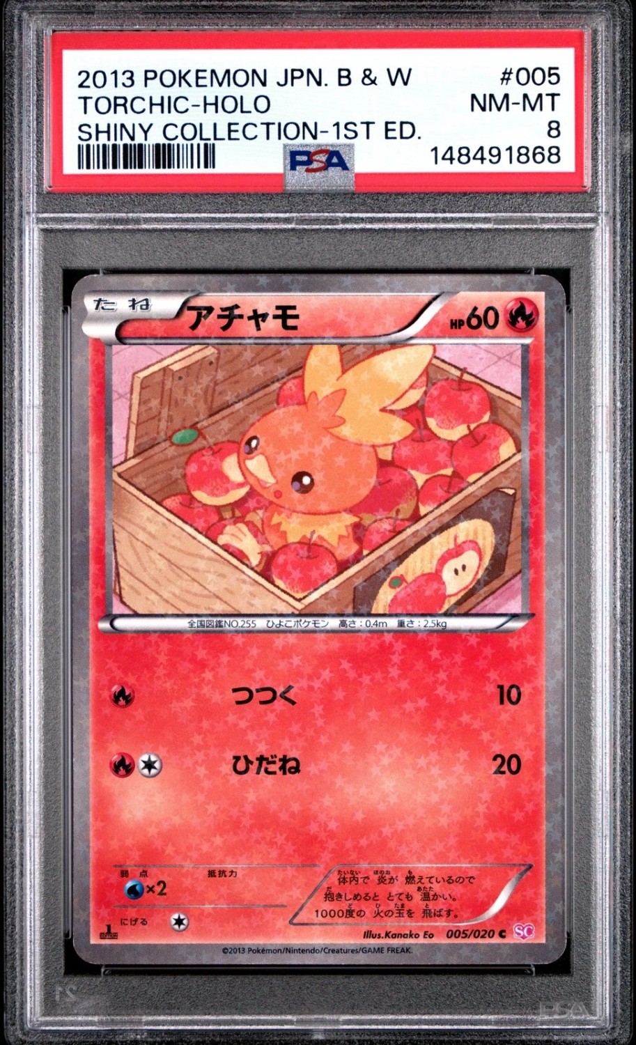 Torchic