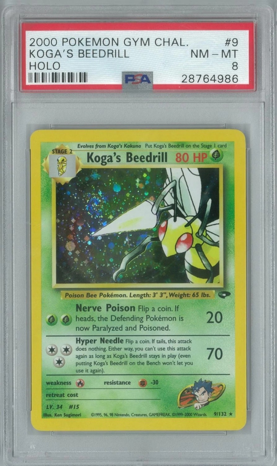 Koga's Beedrill