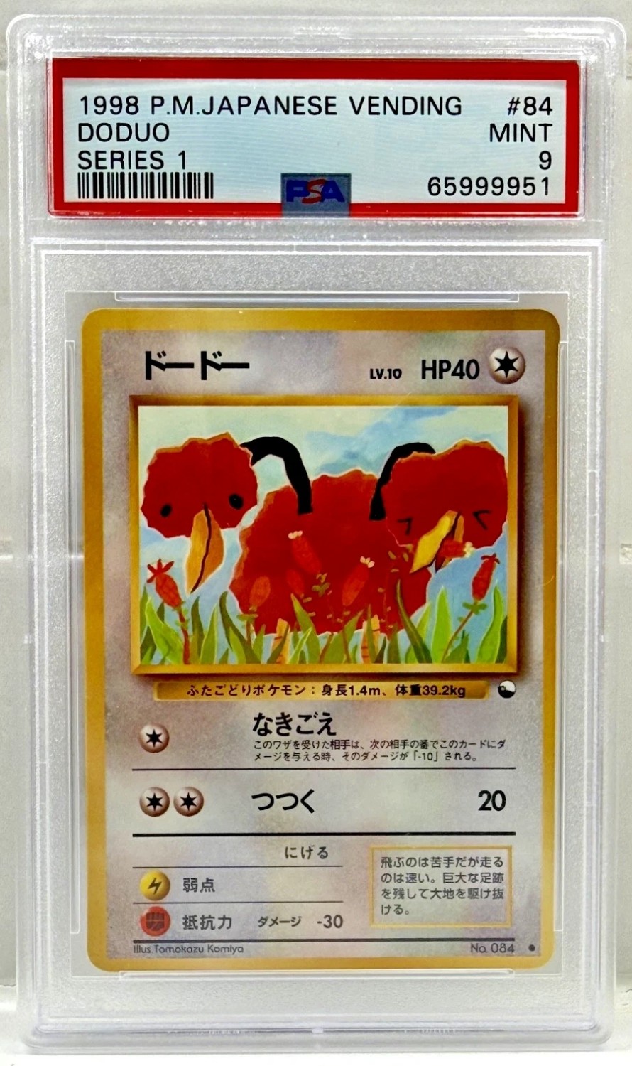 Doduo