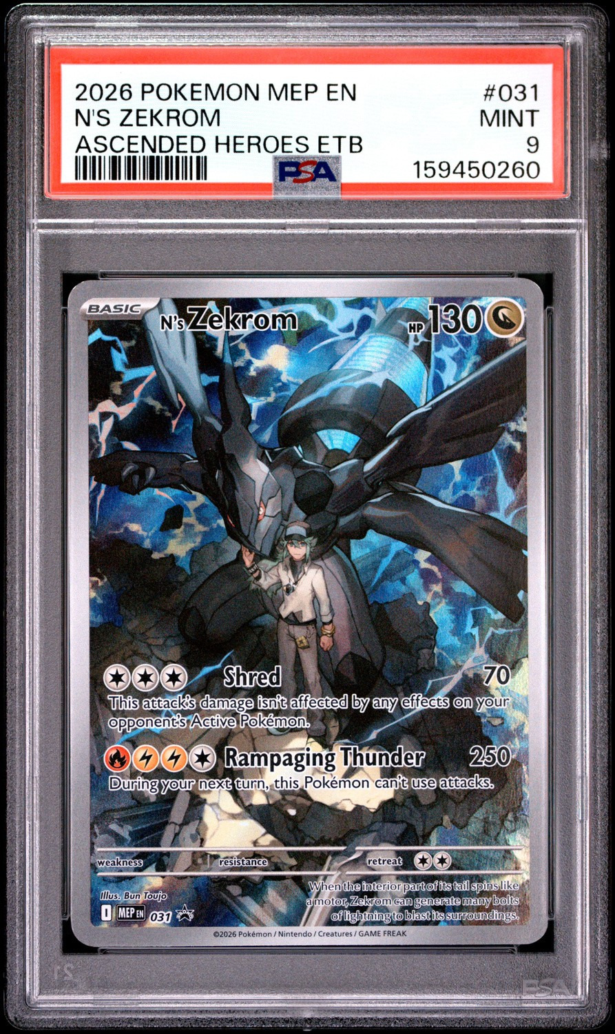 N'S ZEKROM