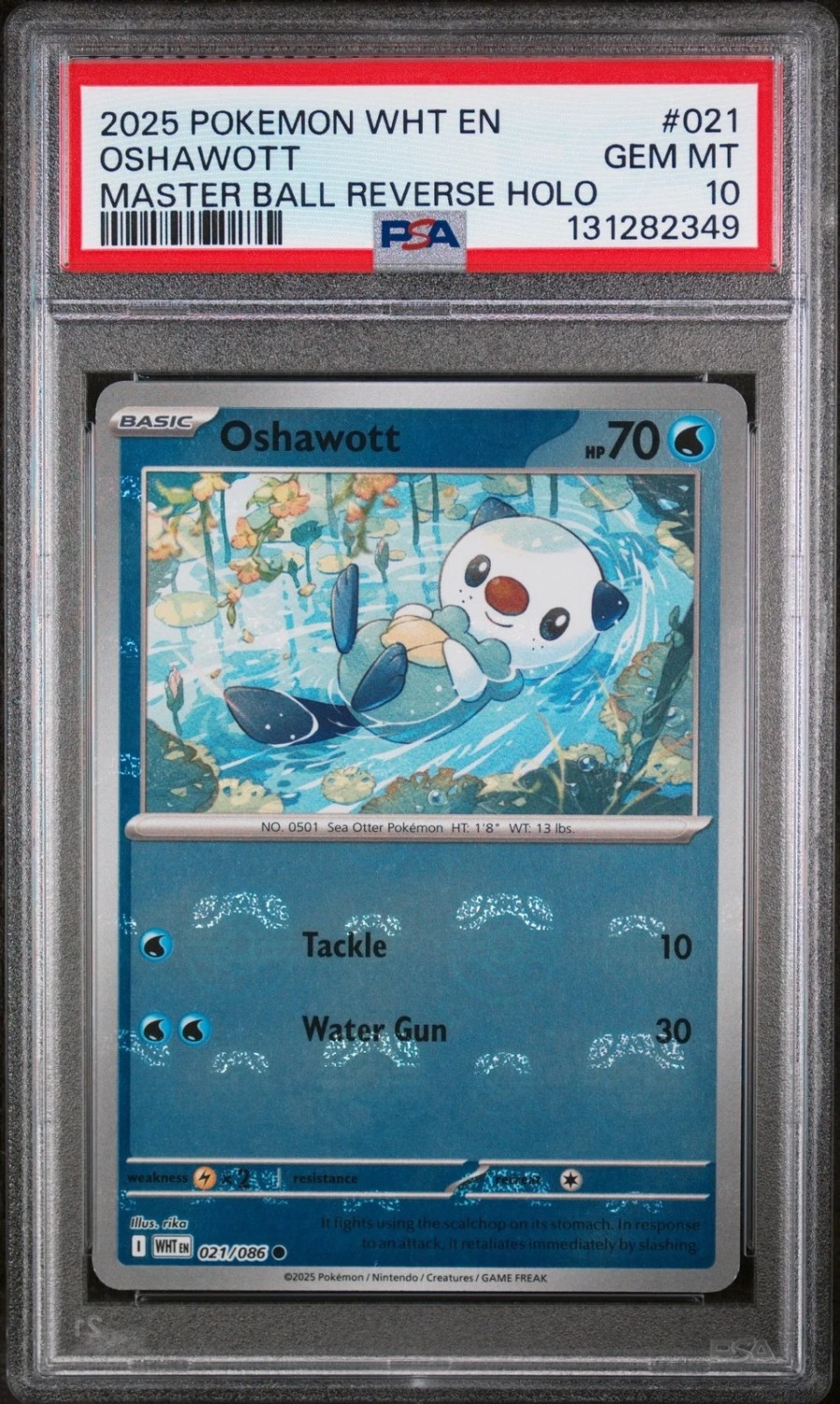 OSHAWOTT