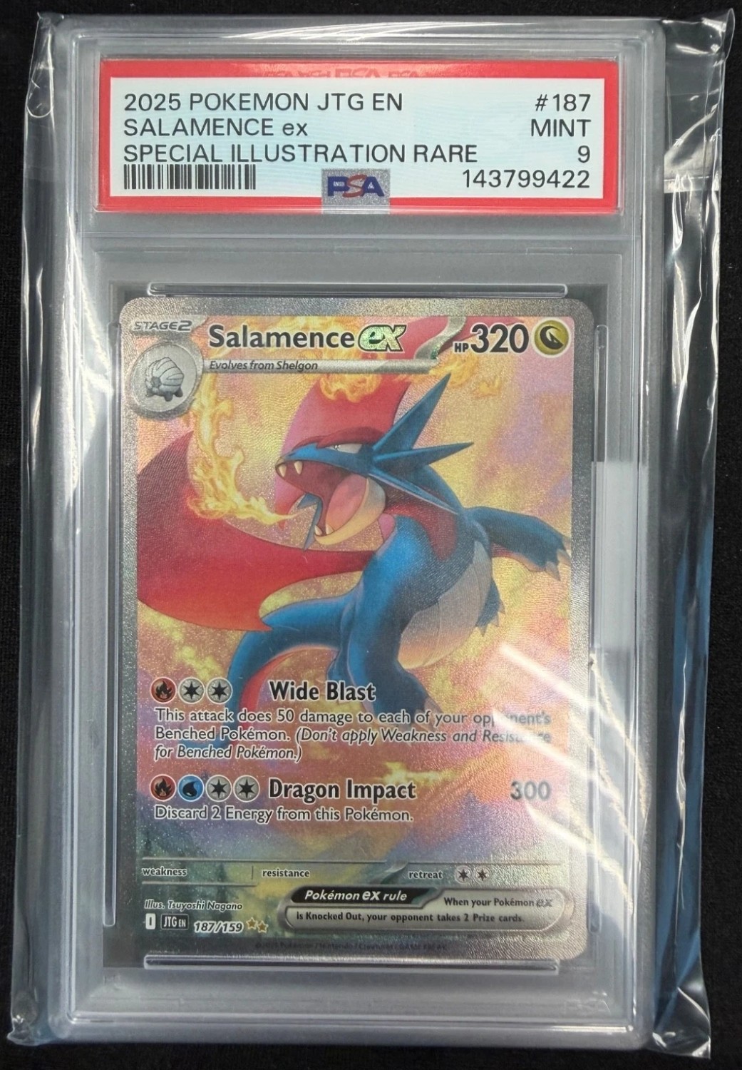 SALAMENCE ex