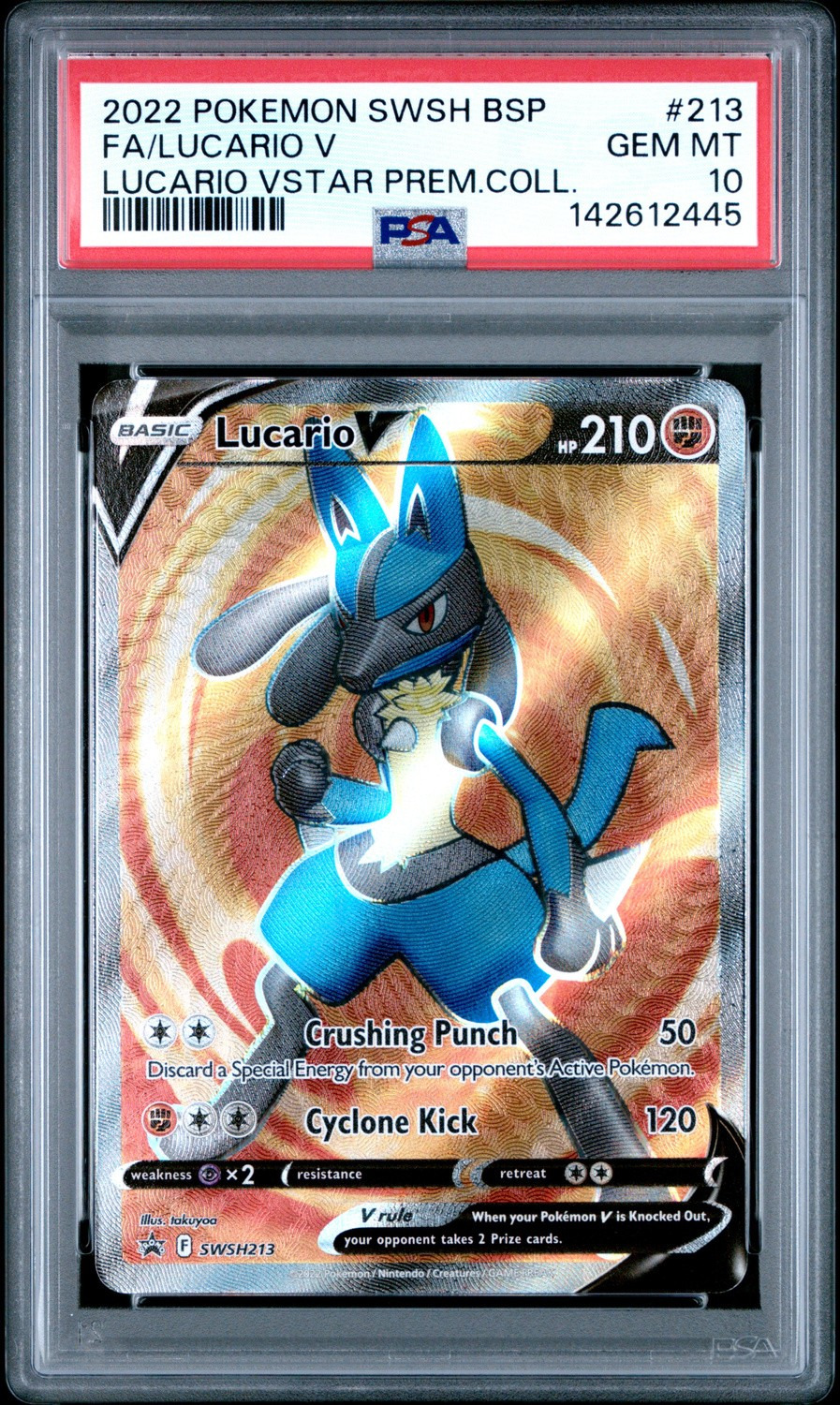 Lucario V
