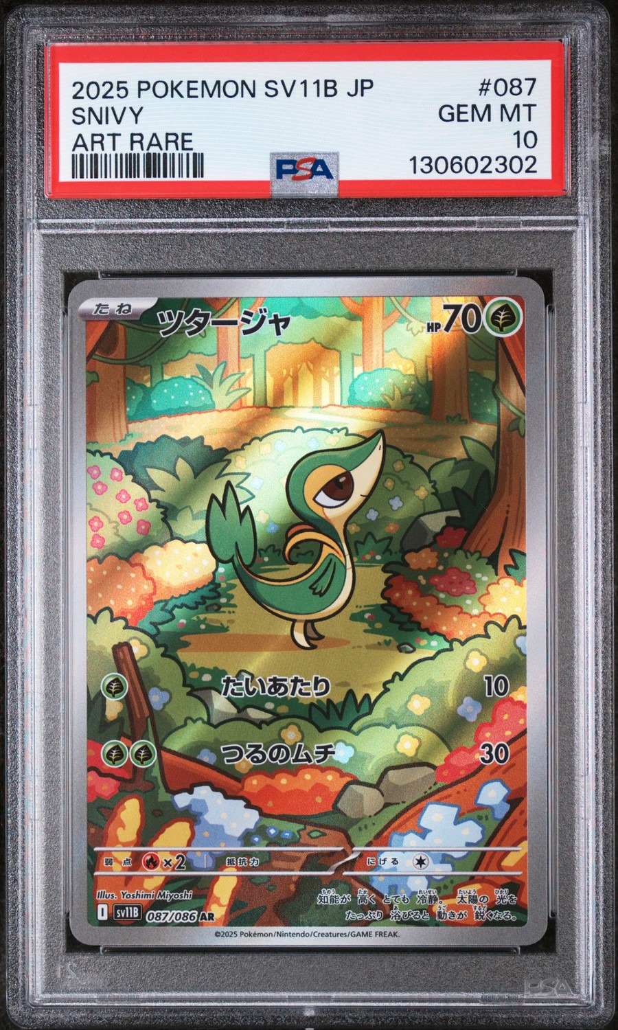 Snivy