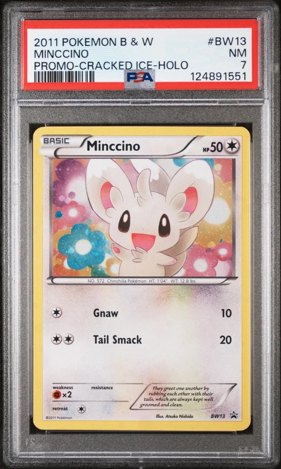 Minccino