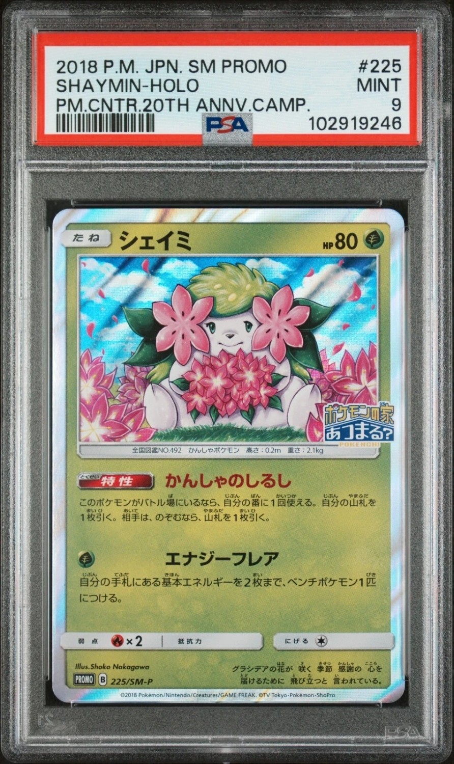 Shaymin