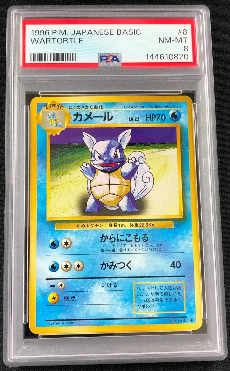 Wartortle