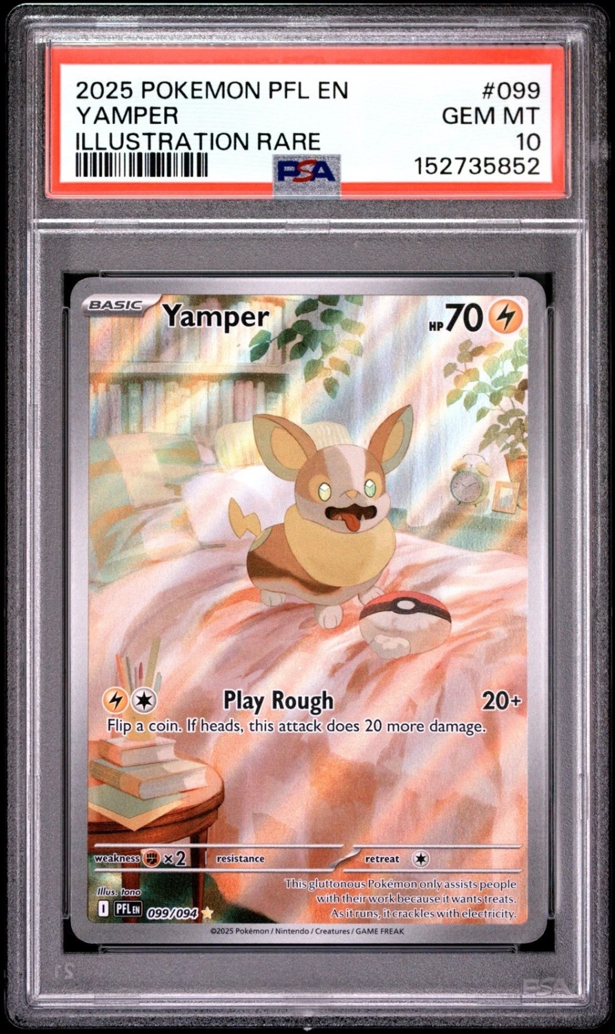 Yamper