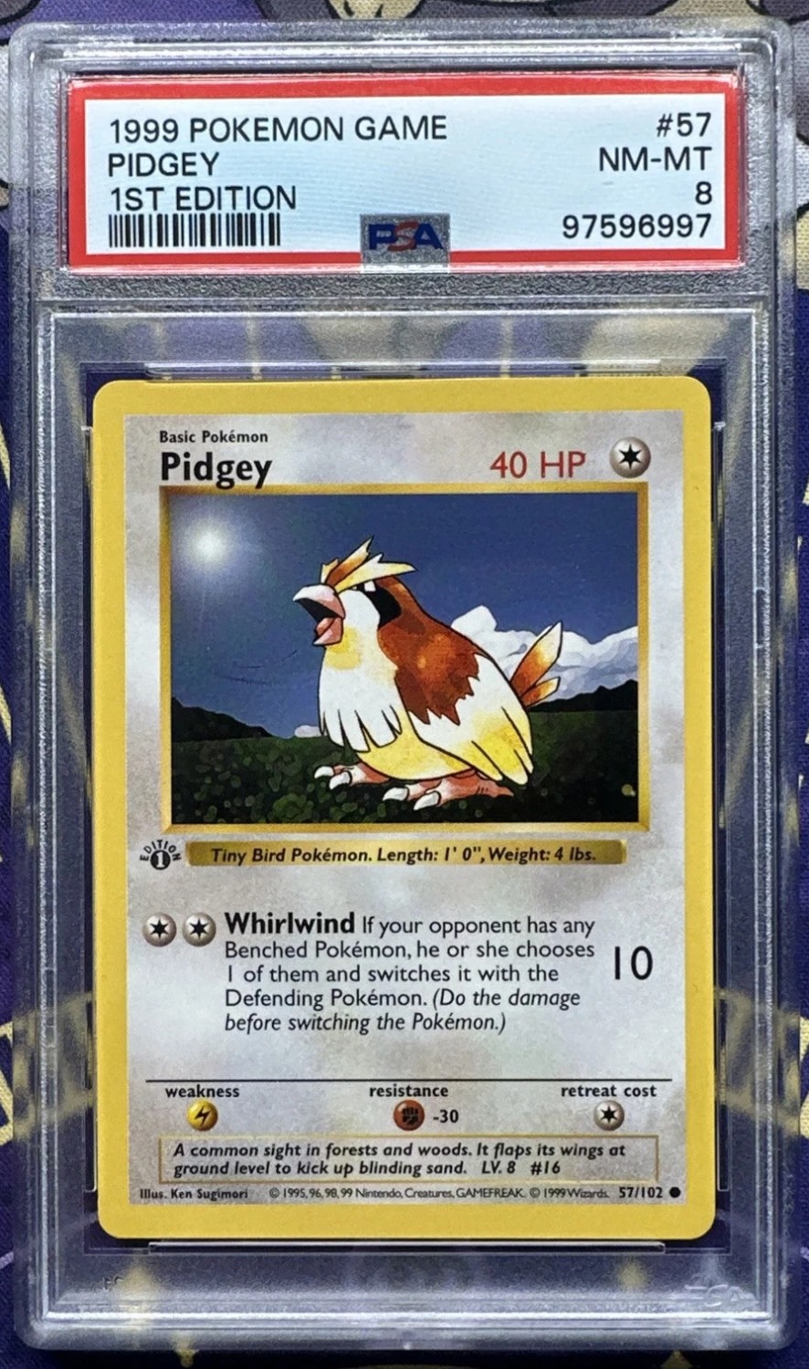 PIDGEY
