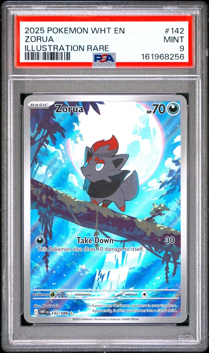 Zorua