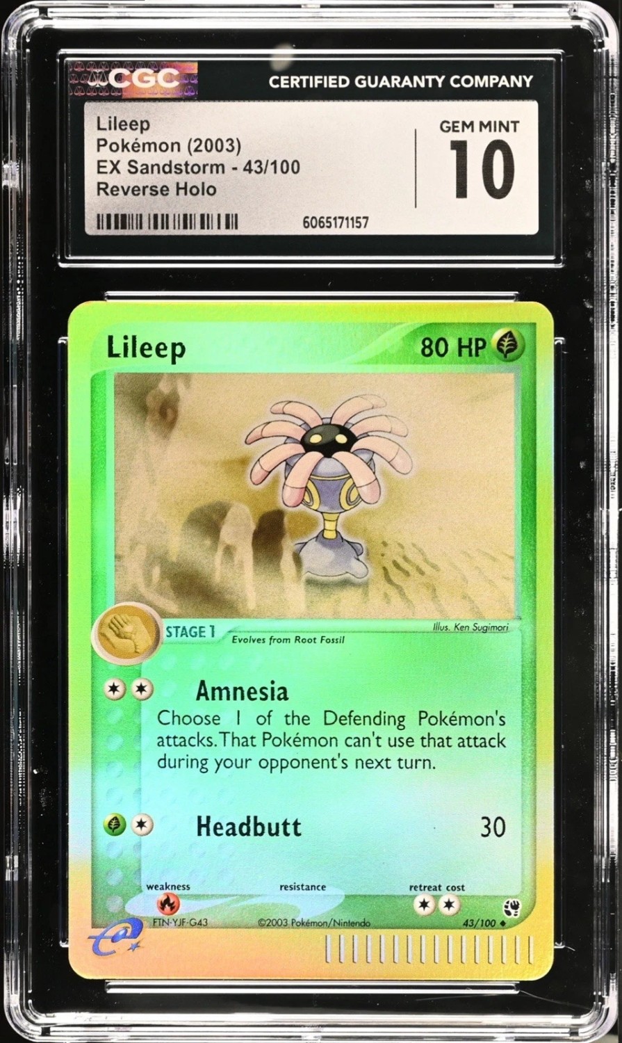 Lileep