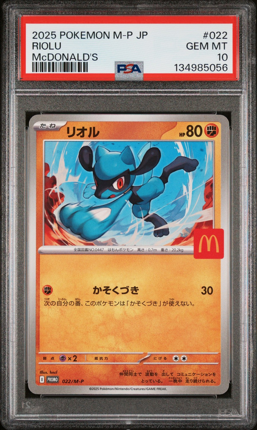 Riolu