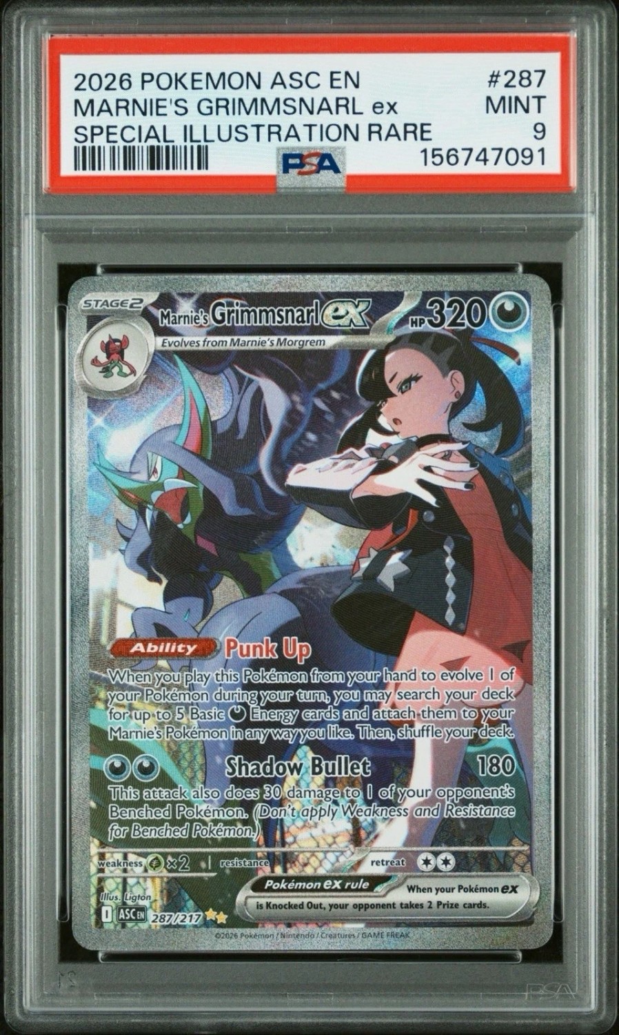 MARNIE'S GRIMMSNARL ex