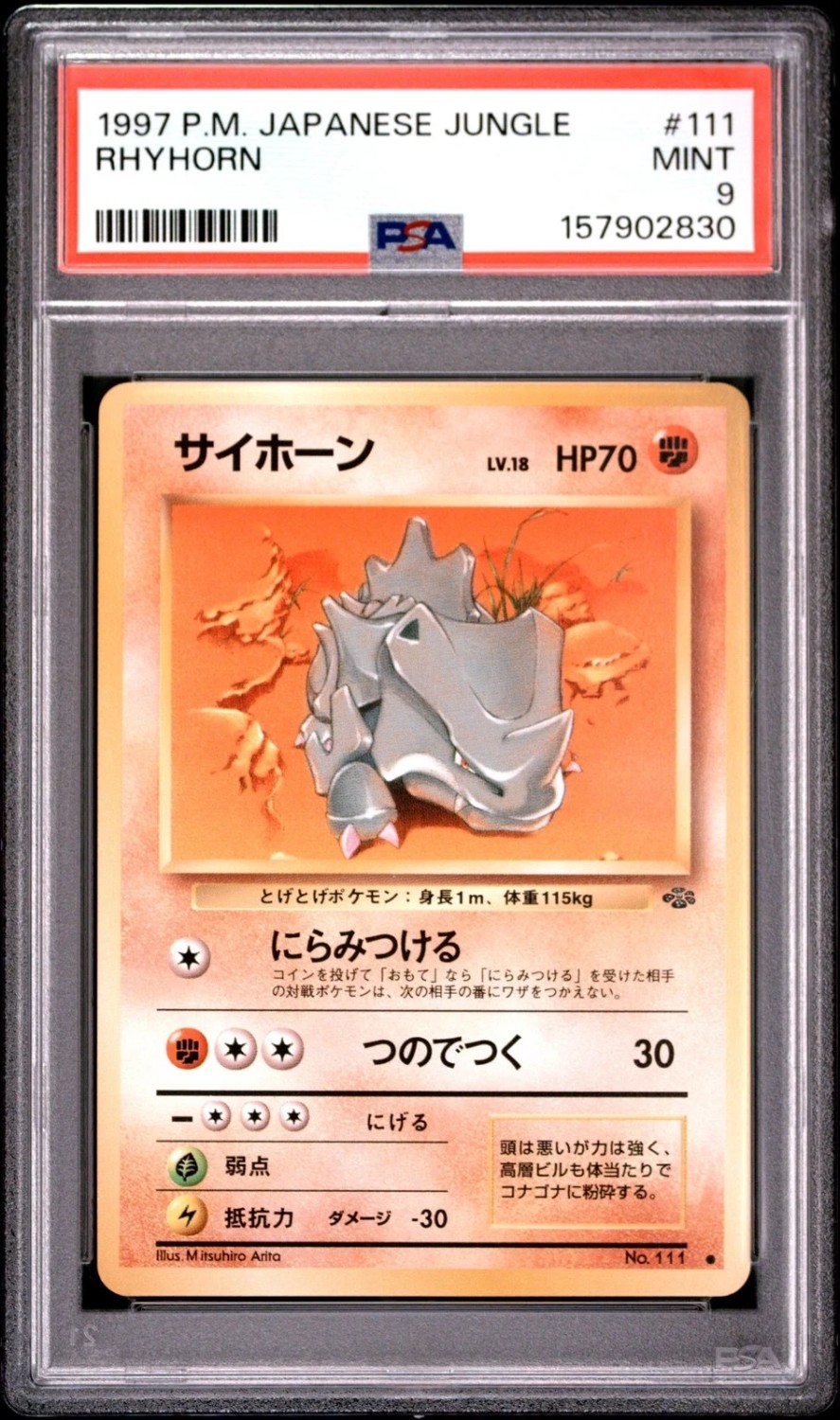 Rhyhorn