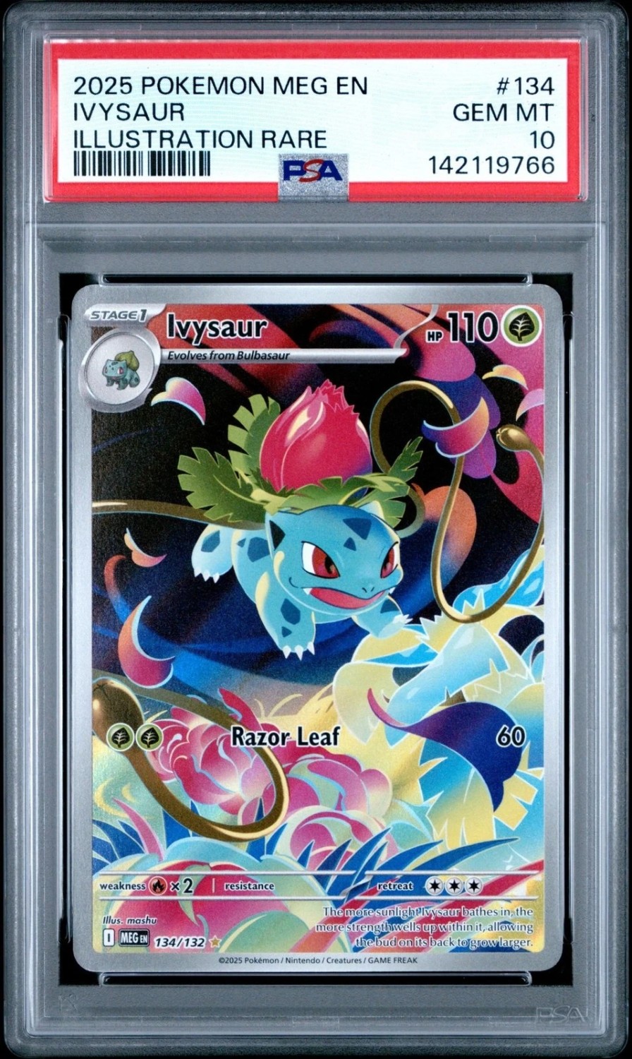 IVYSaur