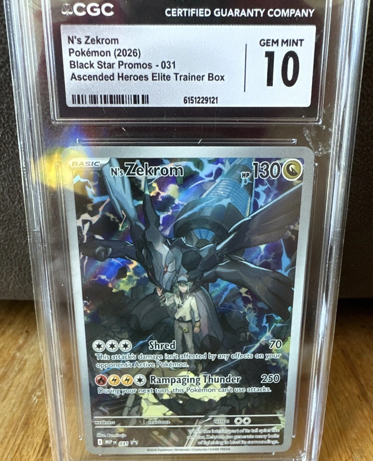 N'S ZEKROM