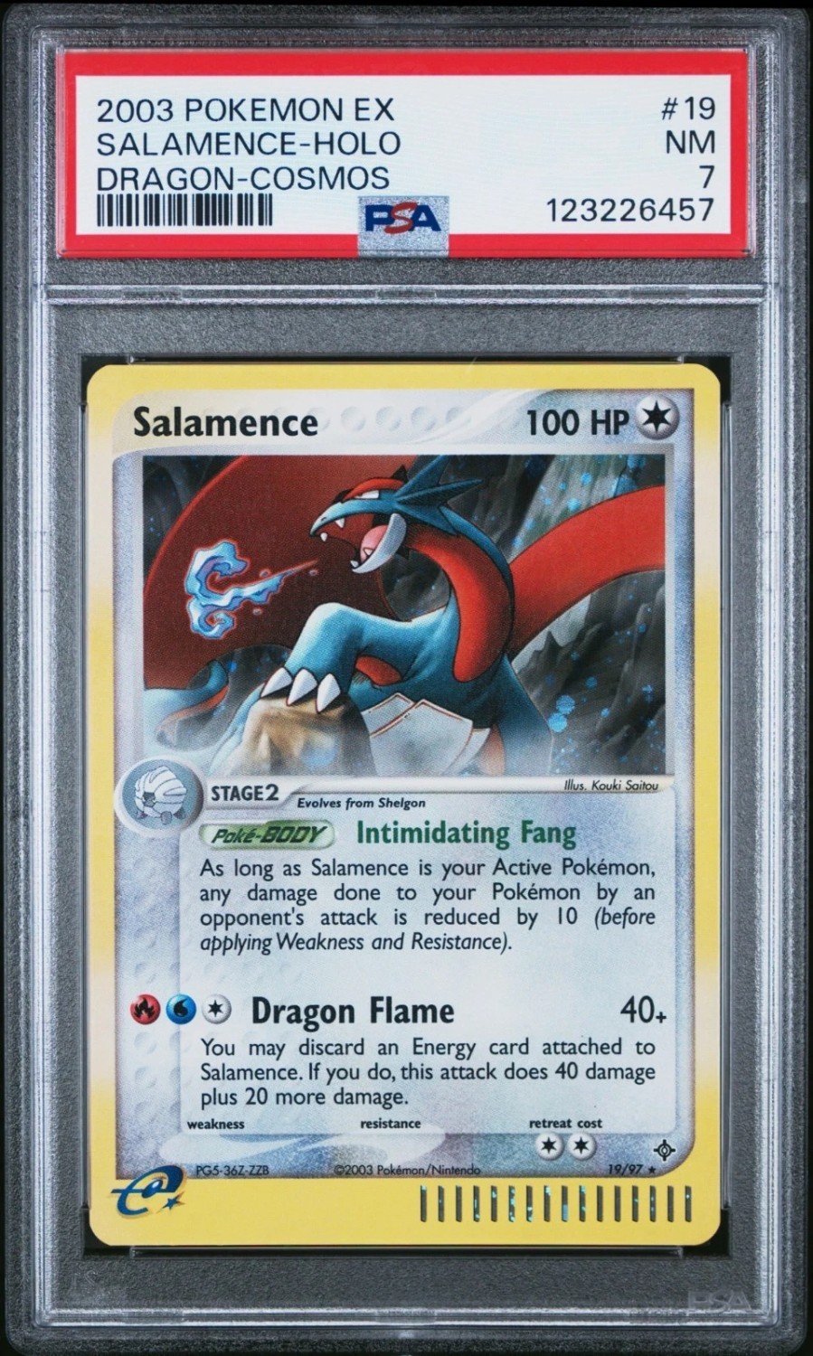 SALAMENCE