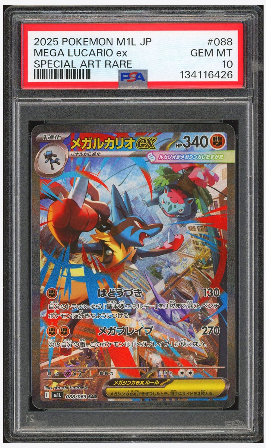 MEGA LUCARIO ex