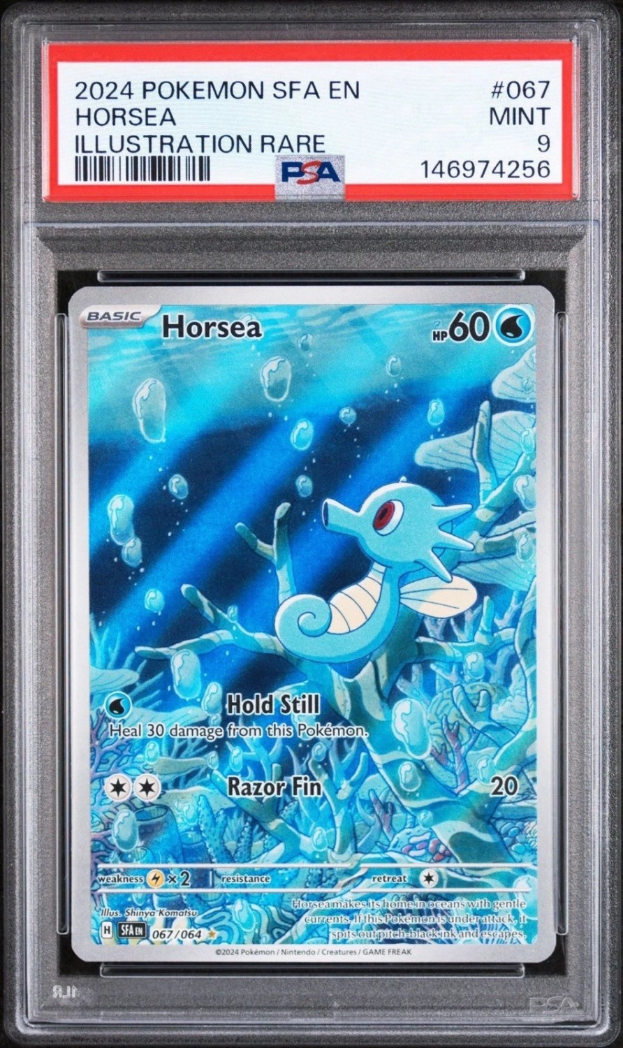 Horsea