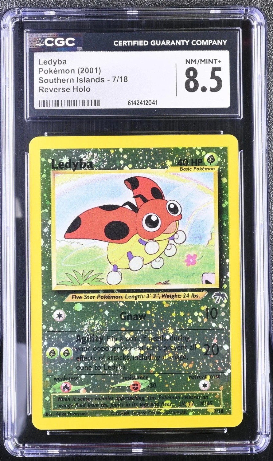 Ledyba